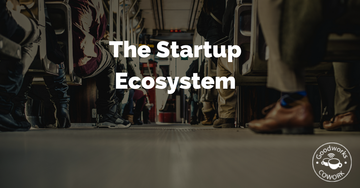 the-startup-ecosystem