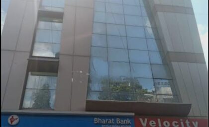 D Gold House