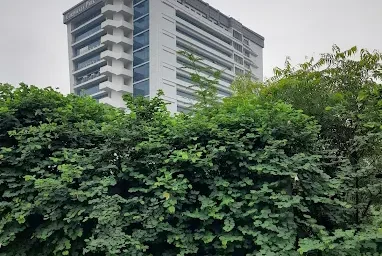 Corporate Park