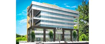 Iriz
